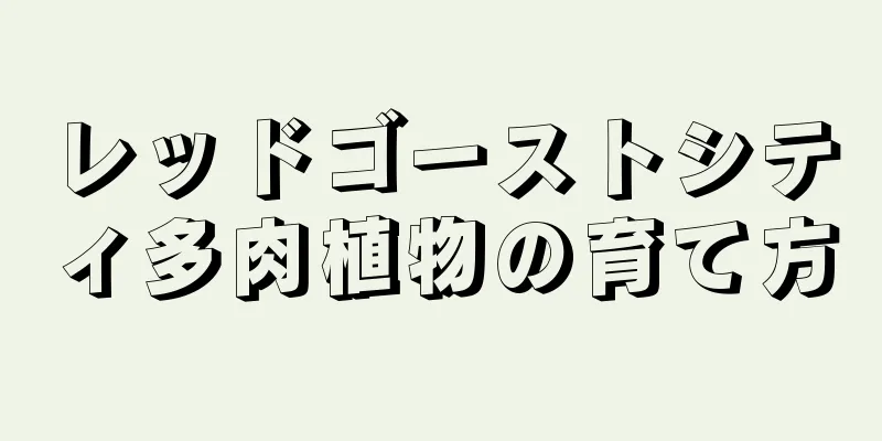レッドゴーストシティ多肉植物の育て方