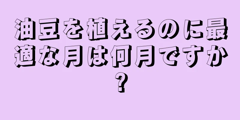 油豆を植えるのに最適な月は何月ですか?