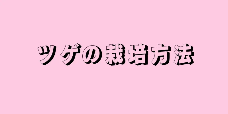 ツゲの栽培方法