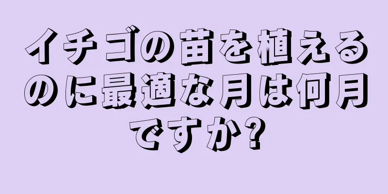 イチゴの苗を植えるのに最適な月は何月ですか?