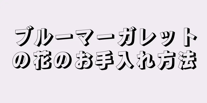 ブルーマーガレットの花のお手入れ方法