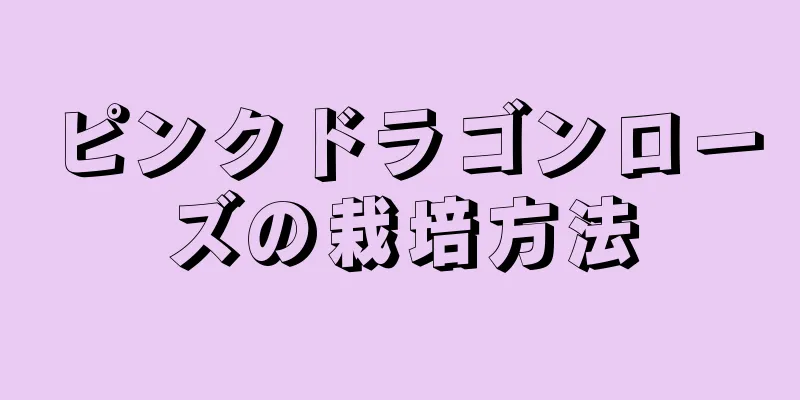 ピンクドラゴンローズの栽培方法