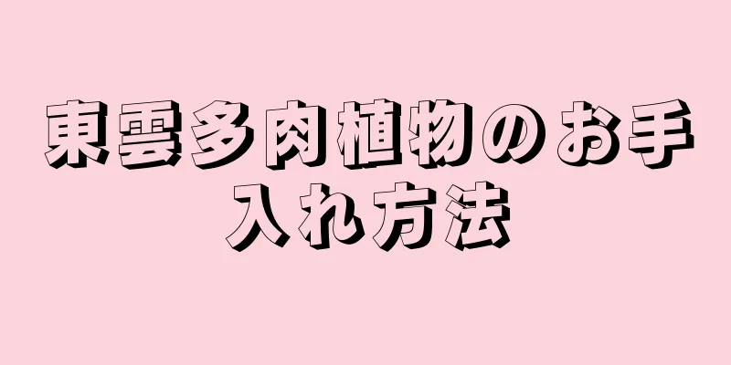 東雲多肉植物のお手入れ方法