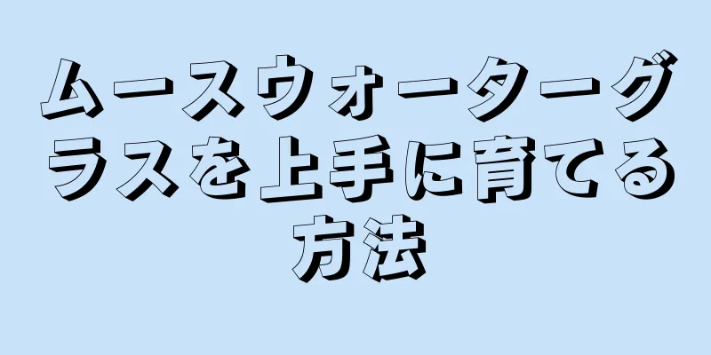 ムースウォーターグラスを上手に育てる方法