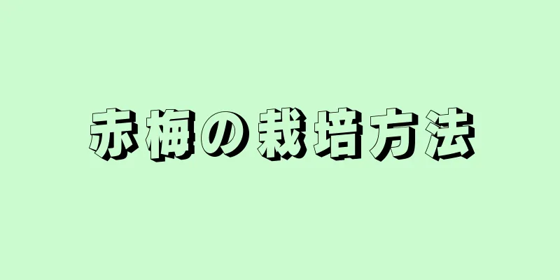 赤梅の栽培方法