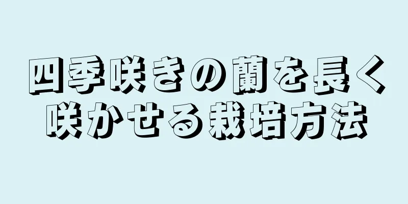 四季咲きの蘭を長く咲かせる栽培方法