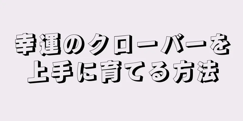 幸運のクローバーを上手に育てる方法