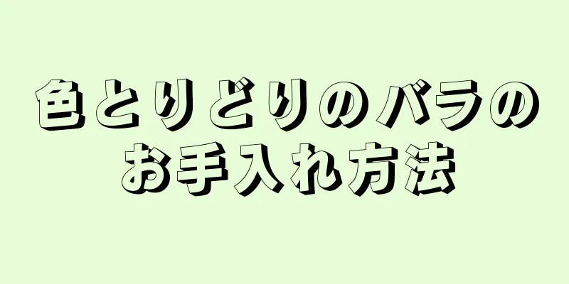 色とりどりのバラのお手入れ方法