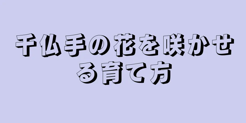 千仏手の花を咲かせる育て方