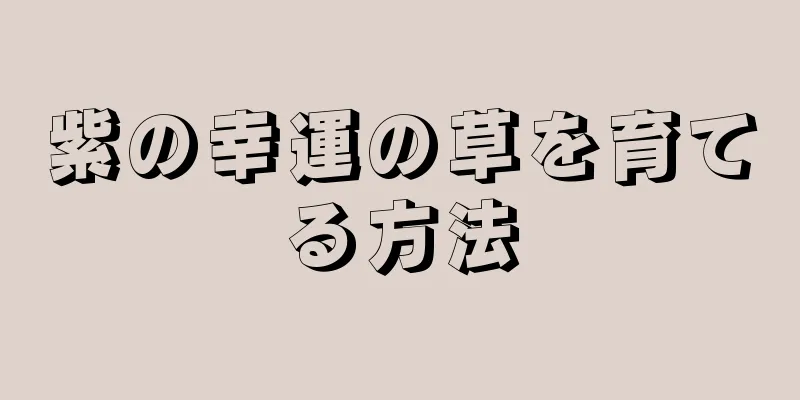 紫の幸運の草を育てる方法