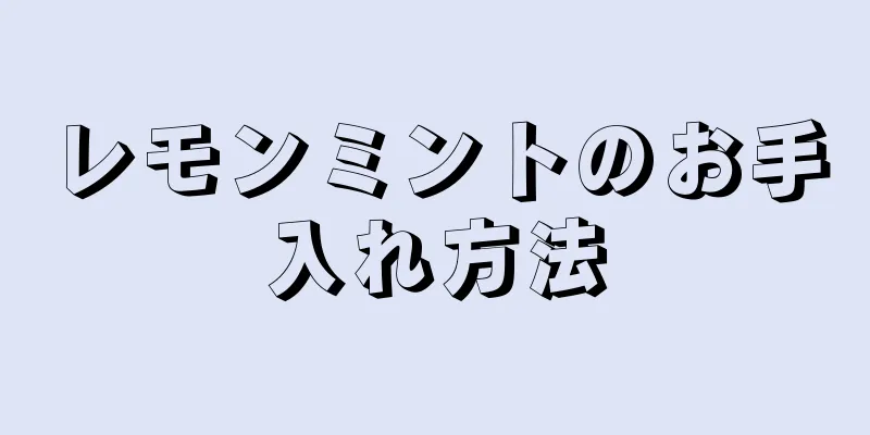 レモンミントのお手入れ方法