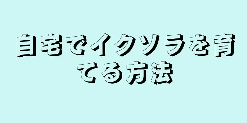 自宅でイクソラを育てる方法