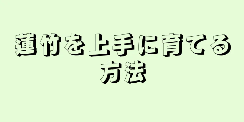 蓮竹を上手に育てる方法