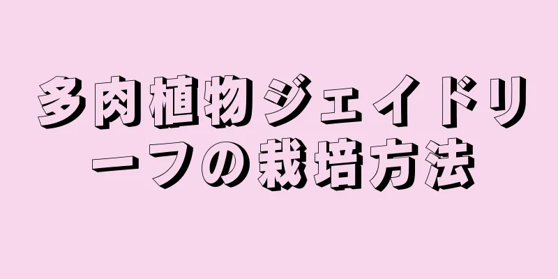 多肉植物ジェイドリーフの栽培方法