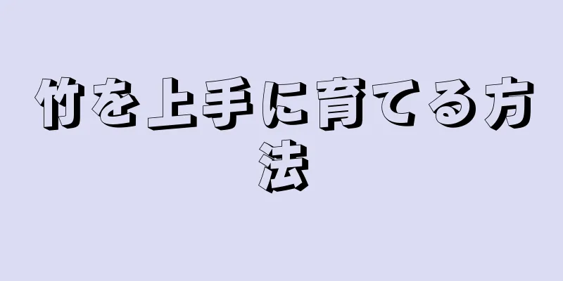 竹を上手に育てる方法