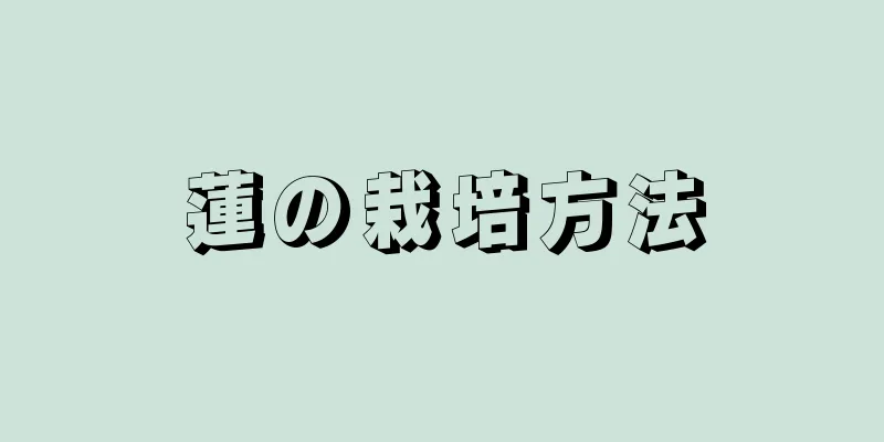 蓮の栽培方法