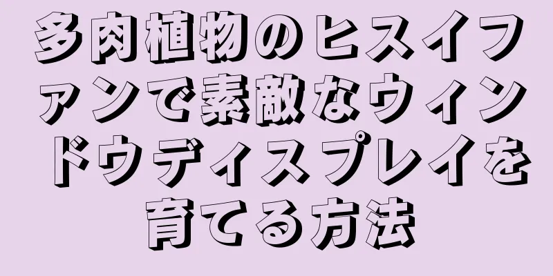 多肉植物のヒスイファンで素敵なウィンドウディスプレイを育てる方法