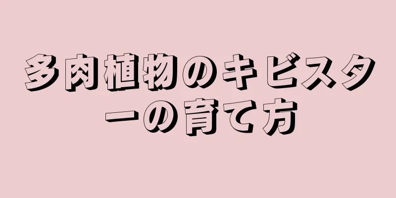 多肉植物のキビスターの育て方