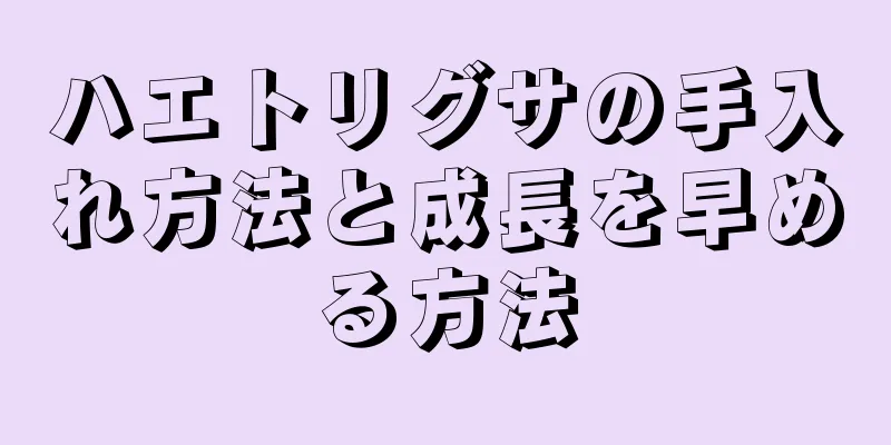 ハエトリグサの手入れ方法と成長を早める方法