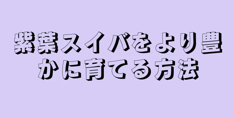 紫葉スイバをより豊かに育てる方法