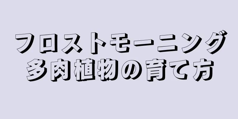 フロストモーニング多肉植物の育て方