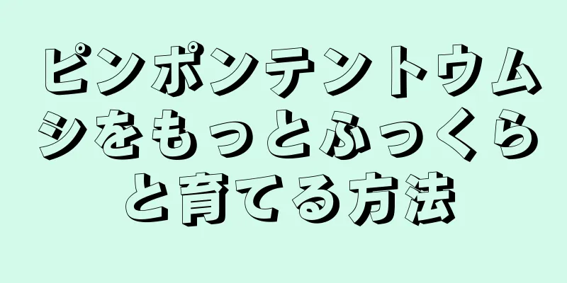 ピンポンテントウムシをもっとふっくらと育てる方法