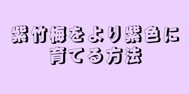 紫竹梅をより紫色に育てる方法