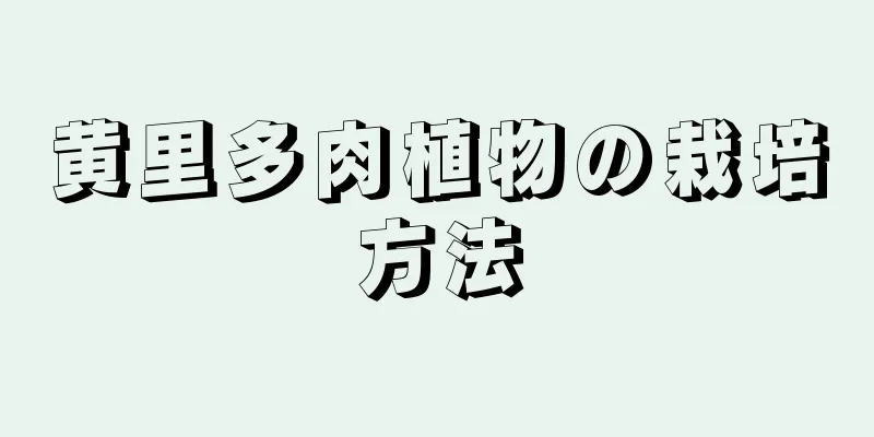 黄里多肉植物の栽培方法