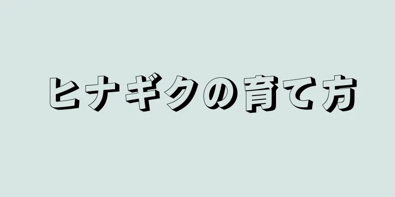 ヒナギクの育て方