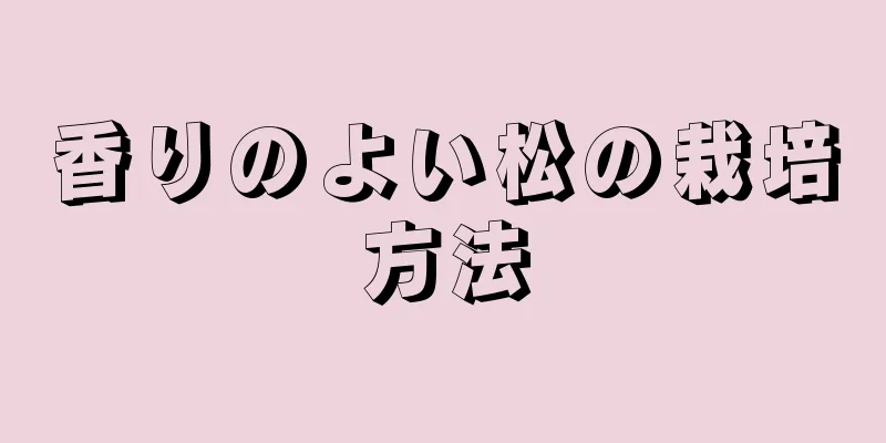 香りのよい松の栽培方法
