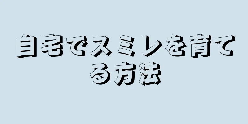 自宅でスミレを育てる方法