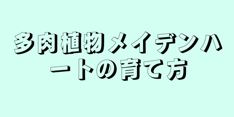 多肉植物メイデンハートの育て方