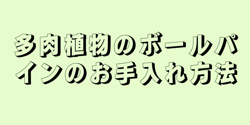 多肉植物のボールパインのお手入れ方法