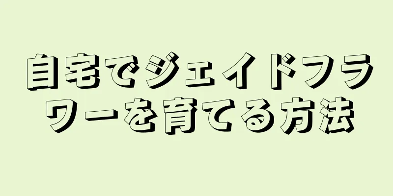 自宅でジェイドフラワーを育てる方法