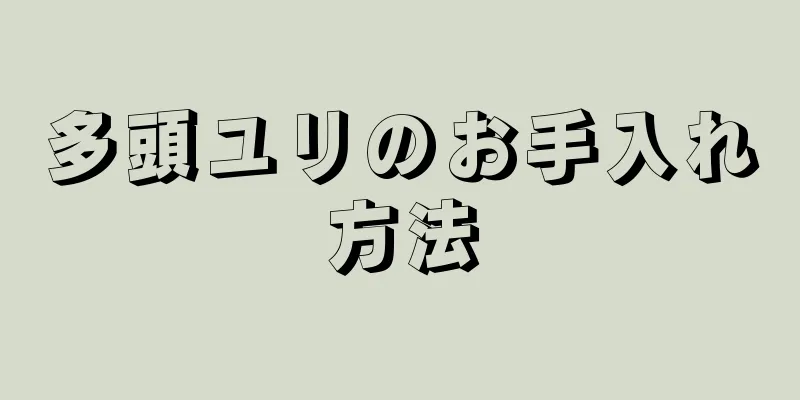 多頭ユリのお手入れ方法
