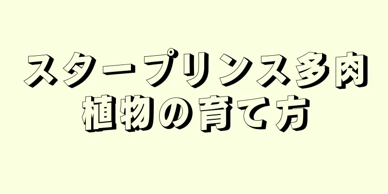 スタープリンス多肉植物の育て方
