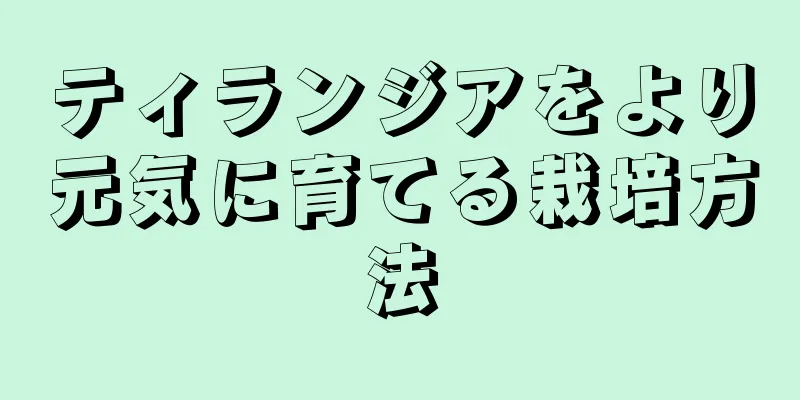ティランジアをより元気に育てる栽培方法