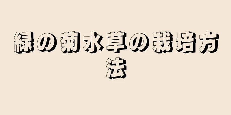 緑の菊水草の栽培方法