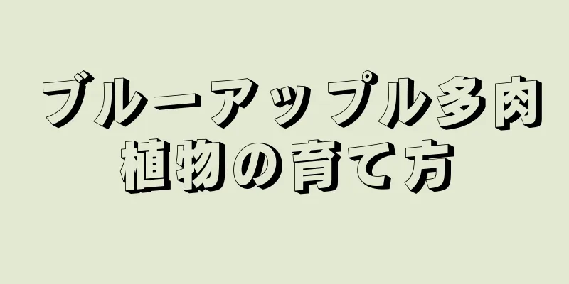 ブルーアップル多肉植物の育て方