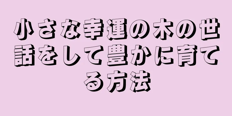 小さな幸運の木の世話をして豊かに育てる方法