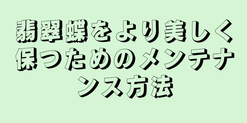 翡翠蝶をより美しく保つためのメンテナンス方法