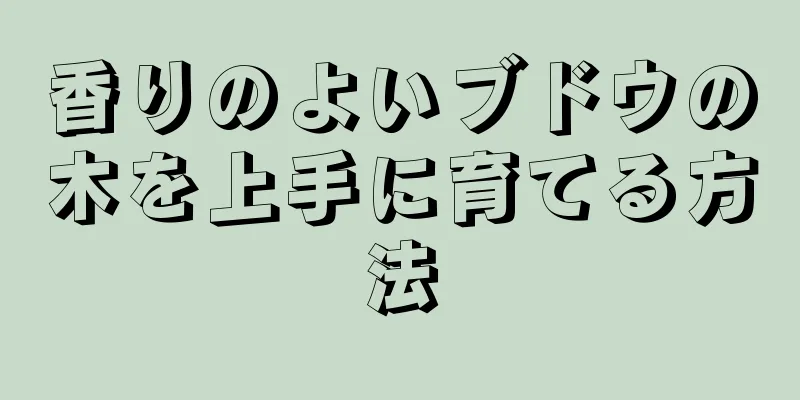香りのよいブドウの木を上手に育てる方法