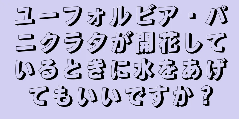 ユーフォルビア・パニクラタが開花しているときに水をあげてもいいですか？