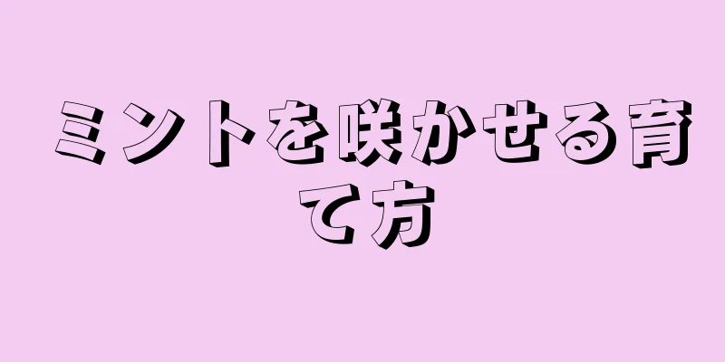 ミントを咲かせる育て方