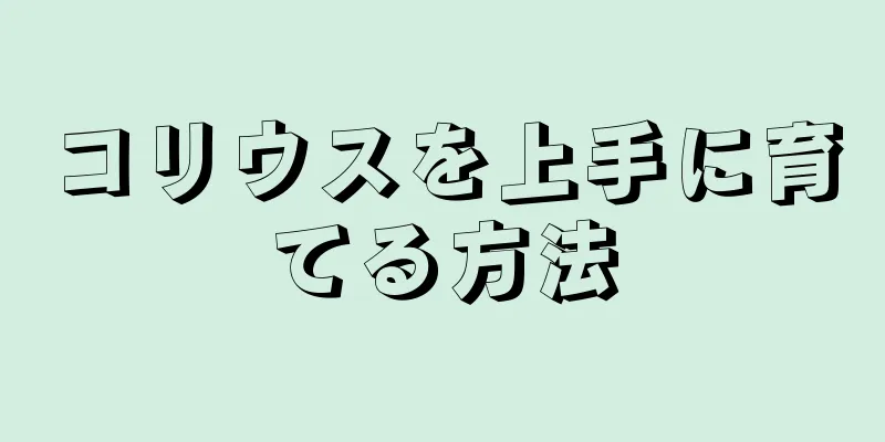 コリウスを上手に育てる方法