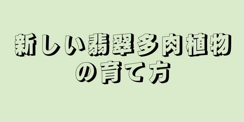 新しい翡翠多肉植物の育て方