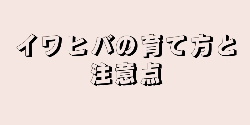 イワヒバの育て方と注意点