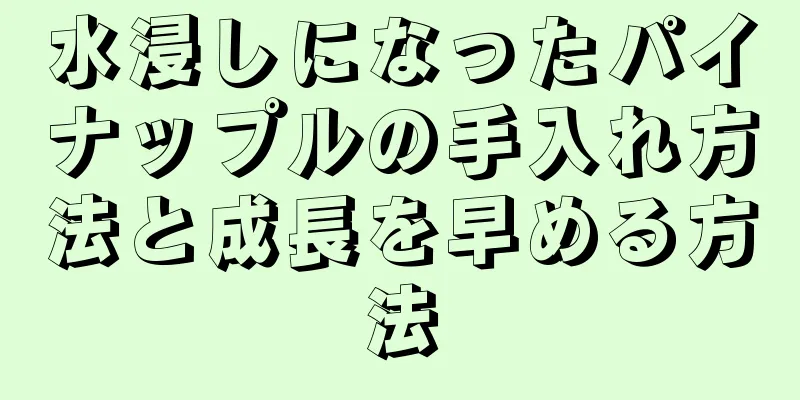 水浸しになったパイナップルの手入れ方法と成長を早める方法