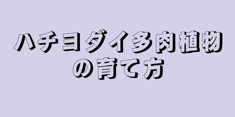 ハチヨダイ多肉植物の育て方