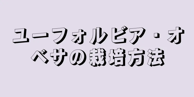 ユーフォルビア・オベサの栽培方法
